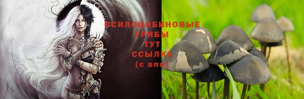 тгк Абинск