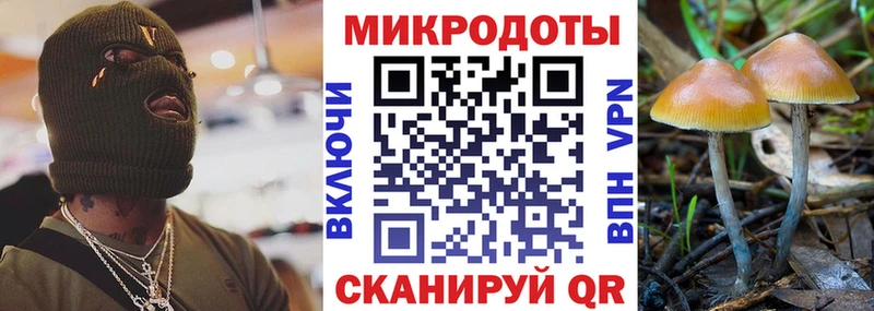 Галлюциногенные грибы Psilocybe  Саранск 
